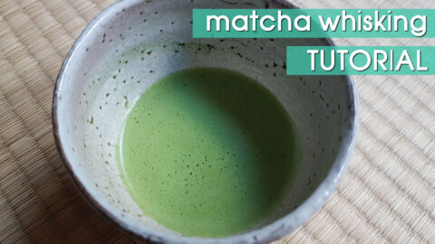 How to make matcha green tea + Q&A with moJoosh