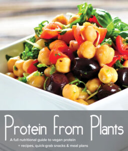 Protein from Plants