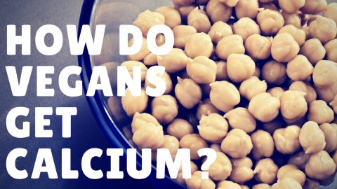 Vegan Sources of Calcium