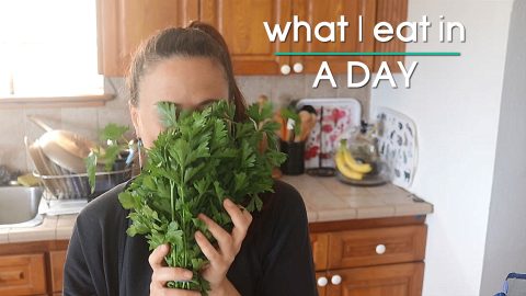 Vegan What I Eat in a Day