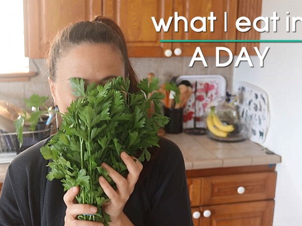 Vegan What I Eat in a Day